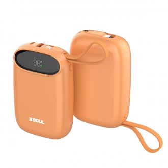 Power Bank Pro 100 (10.000 & 20.000 mAh)